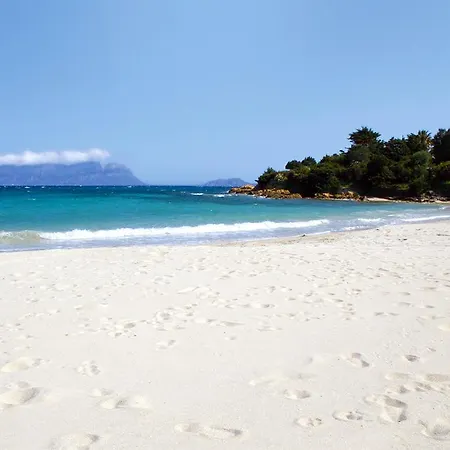 Antica Isola Olbia